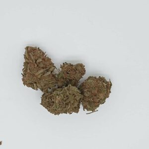 AMNESIA OUTDOOR
