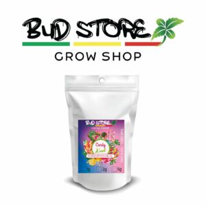 CANDY KUSH INDOOR IDROPONICA