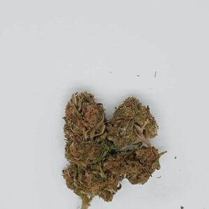 FRUIT CAKE OUTDOOR