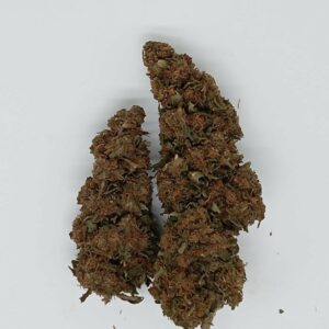 CHEESE OUTDOOR