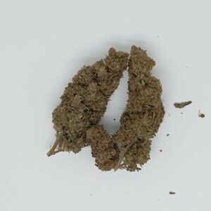 ZKITTLES GREENHOUSE (IN SERRA)
