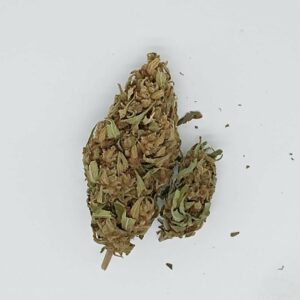 STRAWBERRY OUTDOOR