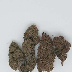 PURPLE OG GREENHOUSE (IN SERRA)