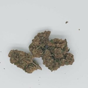 SUPER SKUNK INDOOR HYDROPONIC