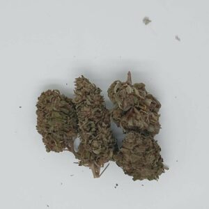 OG KUSH OUTDOOR