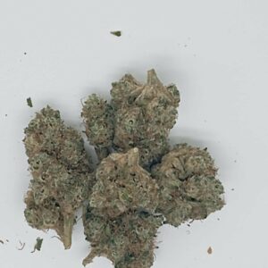 MELA SOUR CREAM INDOOR HYDROPONIC