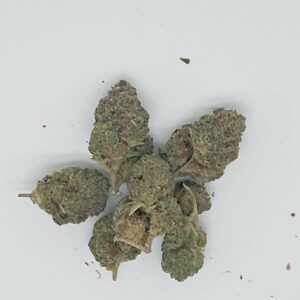 URANIUM INDOOR HYDROPONIC