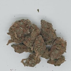 RASPBERRY MUFFIN INDOOR HYDROPONIC