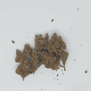 SMOOTHIX INDOOR HYDROPONIC